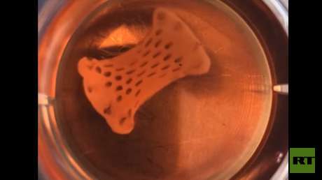 VIDEO: Así funciona el parche cardíaco pulsante cultivado a partir de células madre