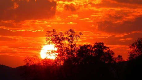 Una ola de calor amenaza con superar los récords de temperatura máxima en Alaska (FOTOS)