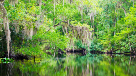 EE.UU.: Muere otro hombre por una bacteria carnívora después de que los médicos descartaran su infección