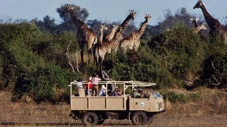 Organizador de cacerías para ricos asegura no ser más que un "conservacionista" (FOTO)