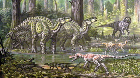 FOTO: Identifican un nuevo dinosaurio con pico de águila y ancha mandíbula