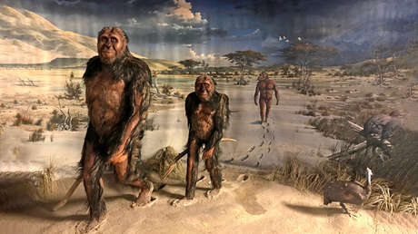 Descubren que las australopitecas amamantaban a sus bebés hasta los 12 meses