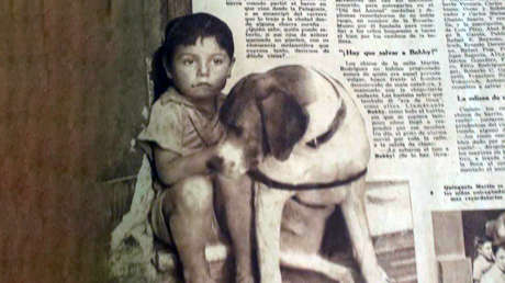 La historia del perro argentino Bobby, rescatado por un grupo de niños al que buscan reunir 73 años después