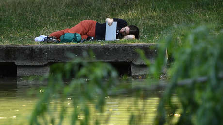 "Derecho a oficina en casa": La propuesta de un partido político alemán para combatir las temperaturas extremas