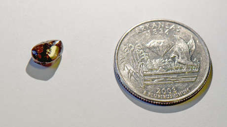 FOTO: Un maestro encuentra un diamante de 2,12 quilates en un parque de Arkansas