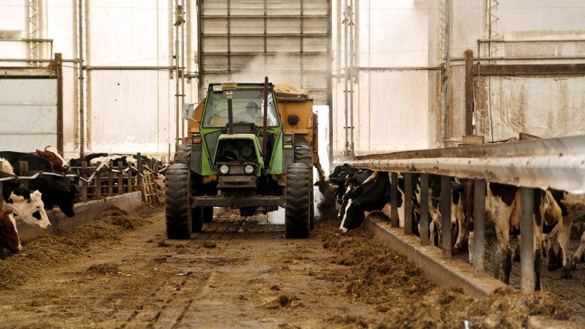 La ONU recomienda cambiar la dieta y el modelo de producción alimentaria para enfrentar la crisis climática