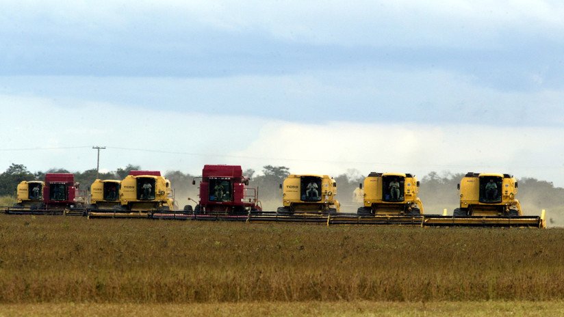 Este país latinoamericano sale beneficiado de la guerra comercial entre EE.UU. y China