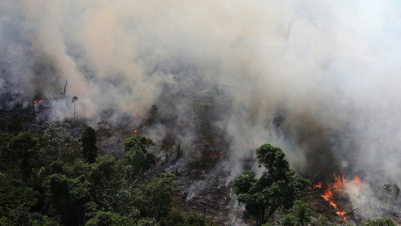 FOTOS: La NASA publica imágenes satelitales que muestran cómo arde la Amazonia en Brasil