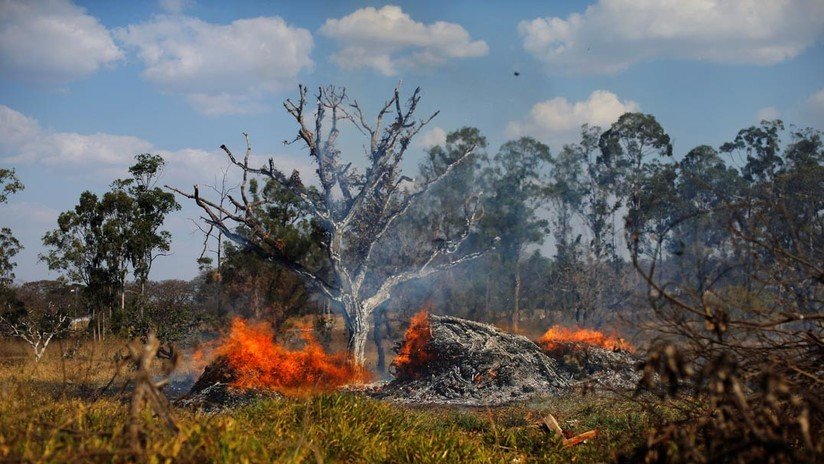 Las imágenes más perturbadoras de los incendios en la Amazonia
