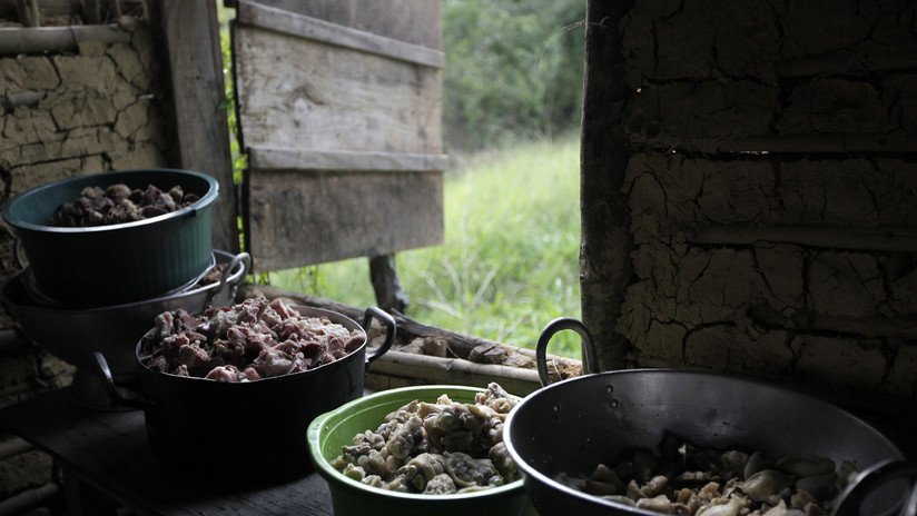 Finlandia insta a la UE a considerar un veto a la carne bovina de Brasil en respuesta a la deforestación