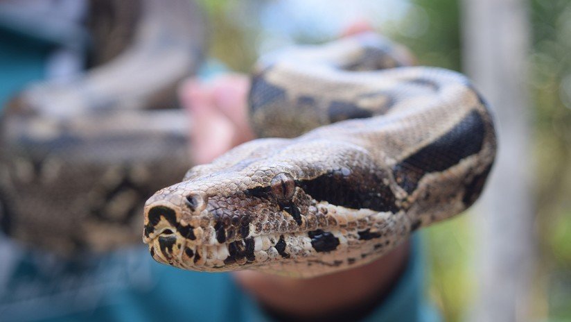 EE.UU.: La cámara de seguridad de su casa le advierte que le espera una desagradable sorpresa en la puerta
