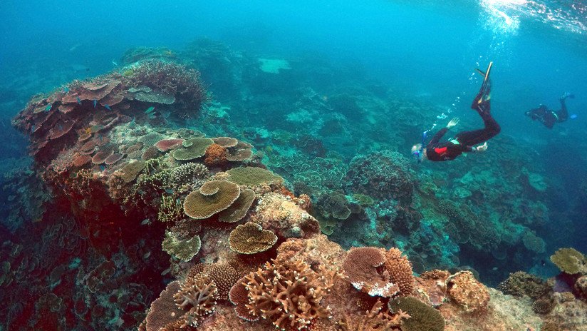 VIDEO: Una horda de rocas flotantes del tamaño de Manhattan viaja por el océano Pacífico
