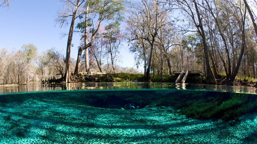 Planes de Nestlé de bombear más de 4 millones de litros de agua de una reserva natural de manera diaria generan oposición en Florida