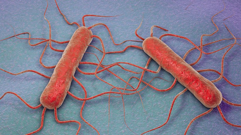 Tercera víctima mortal en España por el brote de listeriosis