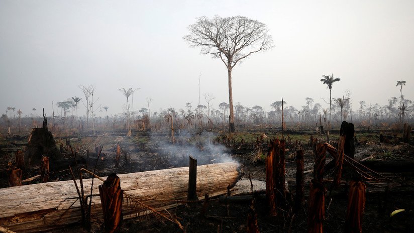 Las fotos del incendio en el Amazonas publicadas por DiCaprio, Ronaldo y Macron resultan ser viejas