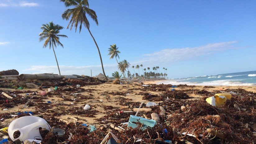 "El porno más sucio": Pornhub lucha para limpiar las playas como mejor lo sabe hacer