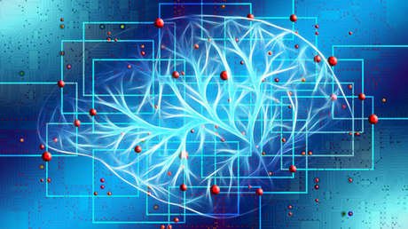 Desarrollan una prueba de sangre capaz de detectar el alzhéimer años antes de los primeros síntomas