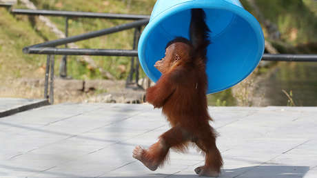 Repase las imágenes más trascendentes de los últimos 7 días