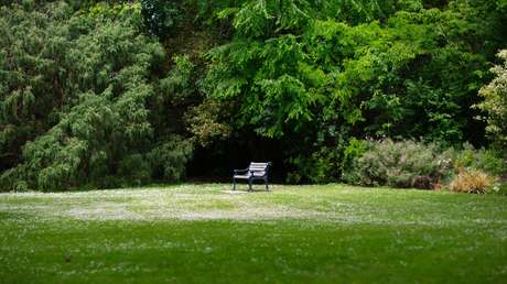 La joven violada por varios hombres en un parque de Bilbao fue citada en redes sociales por uno de los agresores