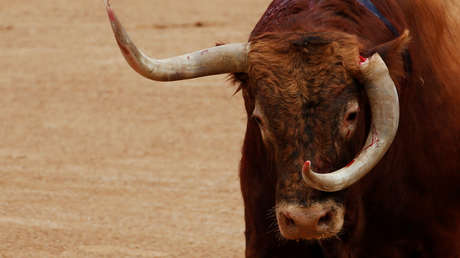 Un joven de 26 años fallece tras recibir una profunda cornada durante una festividad taurina en España