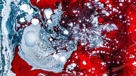 Beber sangre de pollo y comer pescado vivo: Así castiga un jefe a sus empleados en China (VIDEO)