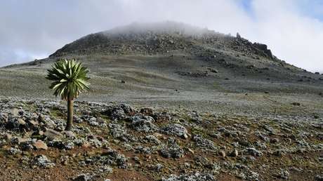 4.000 metros sobre el nivel del mar: descubren el asentamiento humano de gran altitud más antiguo conocido