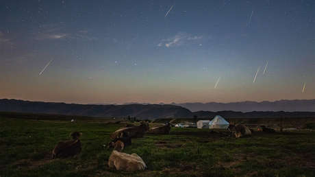 La NASA publica una fotografía de unas vacas disfrutando de la lluvia de las perseidas