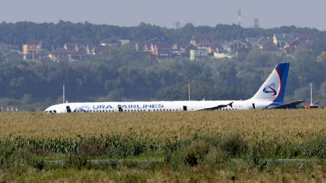 Conceden el título de Héroes de Rusia a los pilotos que lograron aterrizar un avión en un maizal sin causar víctimas