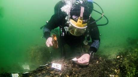 Descubren en una isla británica un astillero de la Edad de Piedra