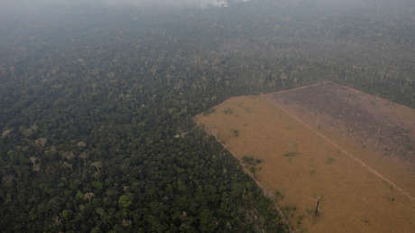 VIDEO: Las reveladoras palabras de una indígena brasileña que anticipó los graves incendios en la Amazonia
