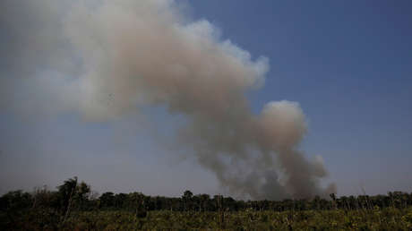 Senador demócrata de EE.UU. llama a recortar fondos a Brasil hasta resolver incendios en la Amazonía