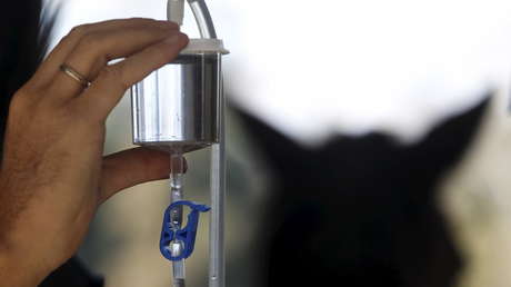 Argentina: Rescatan 420 caballos robados y en estado de desnutrición (VIDEOS)