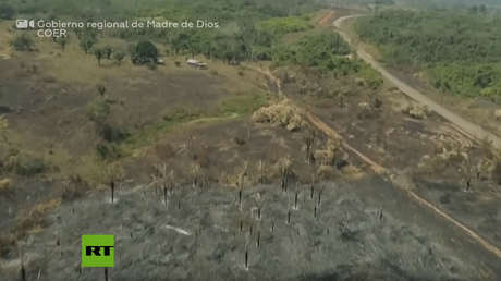Perú: Incendios forestales afectan al departamento amazónico de Madre de Dios (VIDEO)