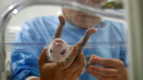 La vuelta al mundo en 12 imágenes: Las fotografías más pintorescas que nos deja la semana