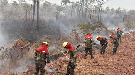 A 40 grados centígrados: la lucha de los bomberos contra los incendios en Bolivia en las zonas a las que solo se accede por aire