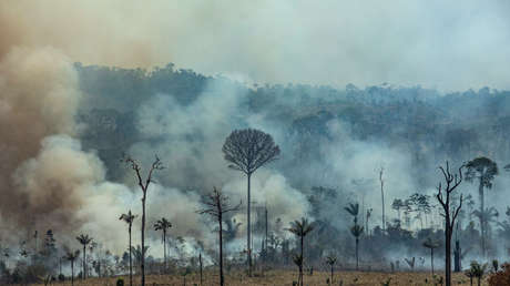 VIDEO: Un incendio forestal en la Amazonia brasileña a unos metros de la cancha interrumpe un partido de fútbol
