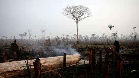 Las fotos del incendio en el Amazonas publicadas por DiCaprio, Ronaldo y Macron resultan ser viejas