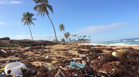 "El porno más sucio": Pornhub lucha para limpiar las playas como mejor lo sabe hacer