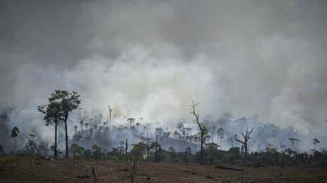 Bolsonaro acepta la ayuda de Chile de 4 aviones militares para apagar los incendios en la Amazonía