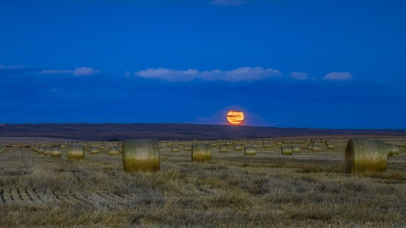 Una 'micro luna llena de cosecha' iluminará el cielo este viernes 13 por primera vez en casi 20 años