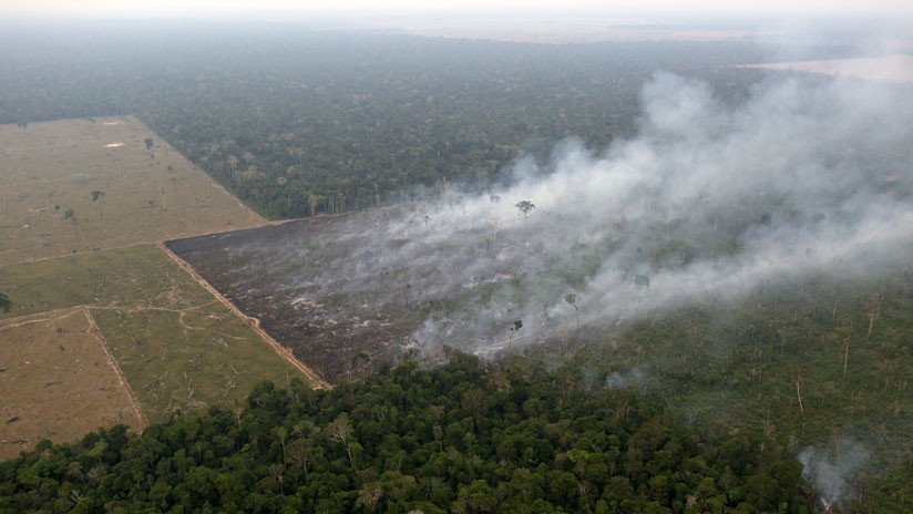 "Algunas políticas de Bolsonaro autorizan el genocidio de los pueblos indígenas"