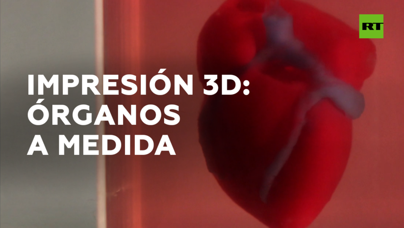 Órganos sintéticos en humanos: cada día más cerca