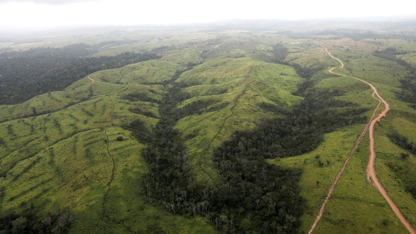 El complejo entramado de intereses en la Amazonia (y por qué es importante atenderlos)