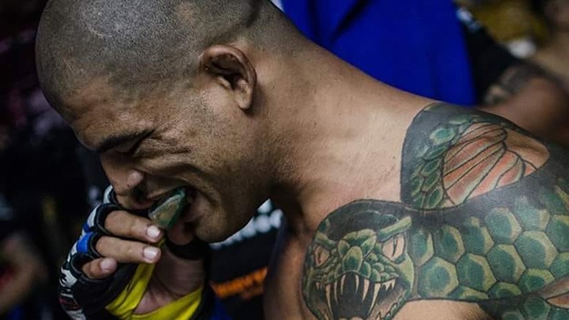 VIDEO: Un sediento luchador de MMA se toma un sorbo de la cerveza de un espectador antes de perder la pelea