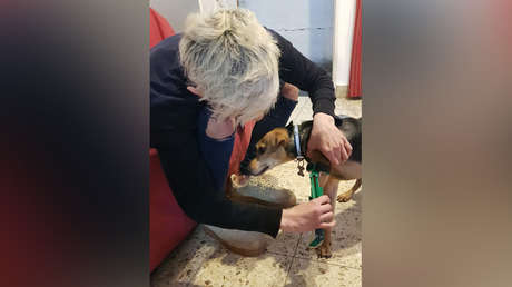 VIDEO: Un argentino fabrica prótesis para mascotas amputadas con una impresora 3D (y las regala)