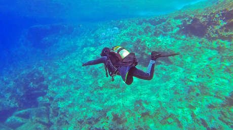 Un buzo sobrevive tras dispararse sin querer una lanza de pesca en la cabeza (FOTO)