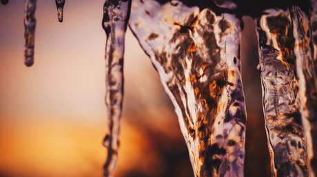 Una provincia argentina amanece con 'helada negra' tras una drástica caída de temperaturas (FOTO)