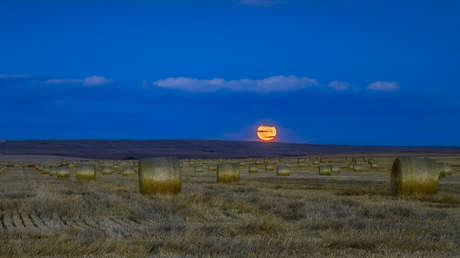 Una 'micro luna llena de cosecha' iluminará el cielo este viernes 13 por primera vez en casi 20 años