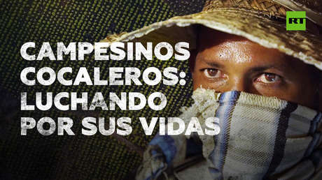 Coca: la guerra por la erradicación