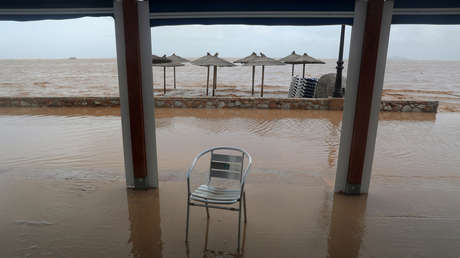 VIDEO: Transeúntes trocean un atún varado aparecido por el temporal en una playa en España